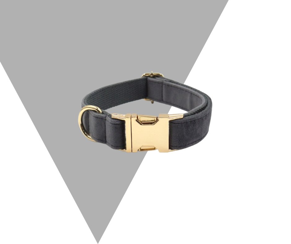 Dark Grey Velvet Corduroy Pet Collection - Neema's Pets