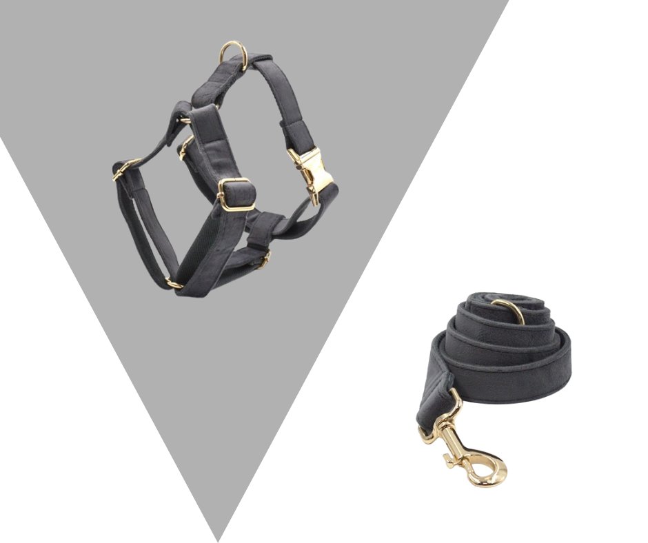 Dark Grey Velvet Corduroy Pet Collection - Neema's Pets