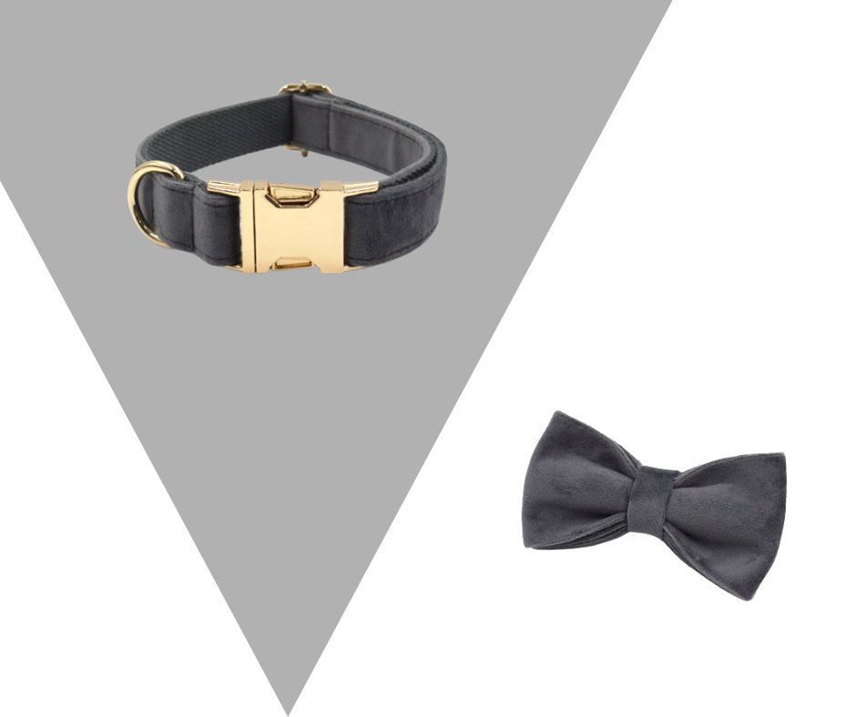 Dark Grey Velvet Corduroy Pet Collection - Neema's Pets