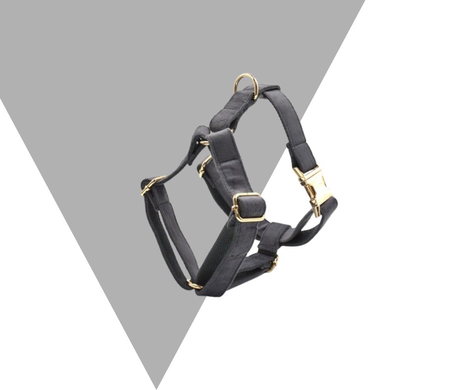 Dark Grey Velvet Corduroy Pet Collection - Neema's Pets