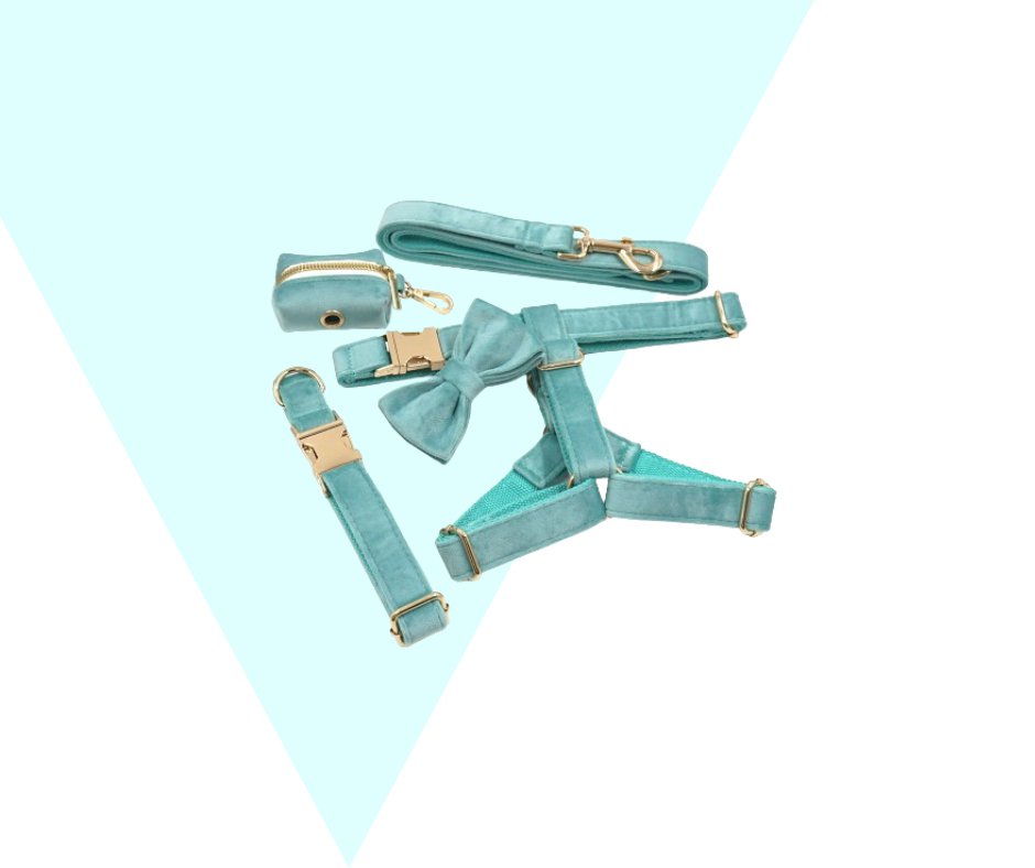 Lakeblue Velvet Corduroy Pet Collection - Neema's Pets