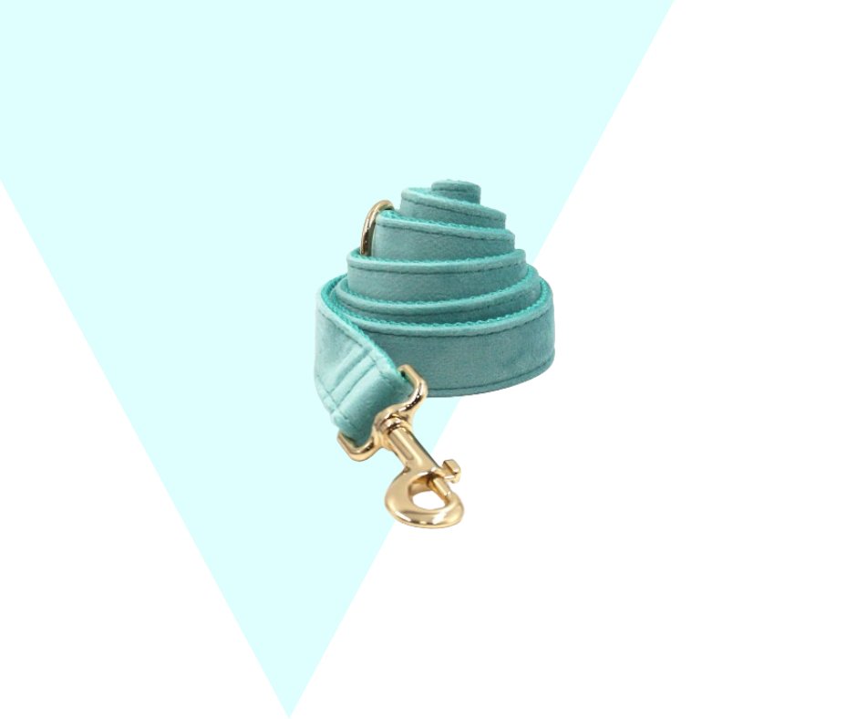 Lakeblue Velvet Corduroy Pet Collection - Neema's Pets