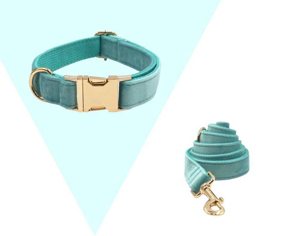 Lakeblue Velvet Corduroy Pet Collection - Neema's Pets