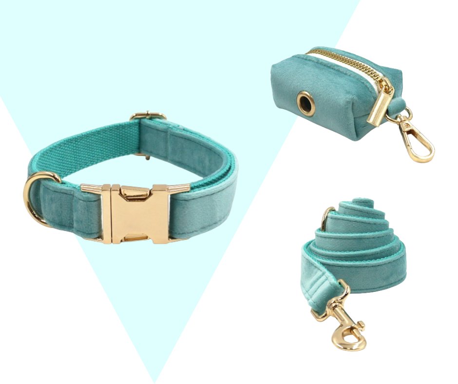 Lakeblue Velvet Corduroy Pet Collection - Neema's Pets
