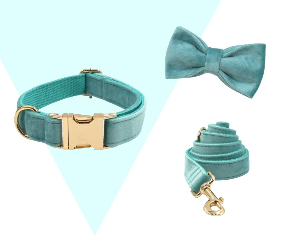 Lakeblue Velvet Corduroy Pet Collection - Neema's Pets