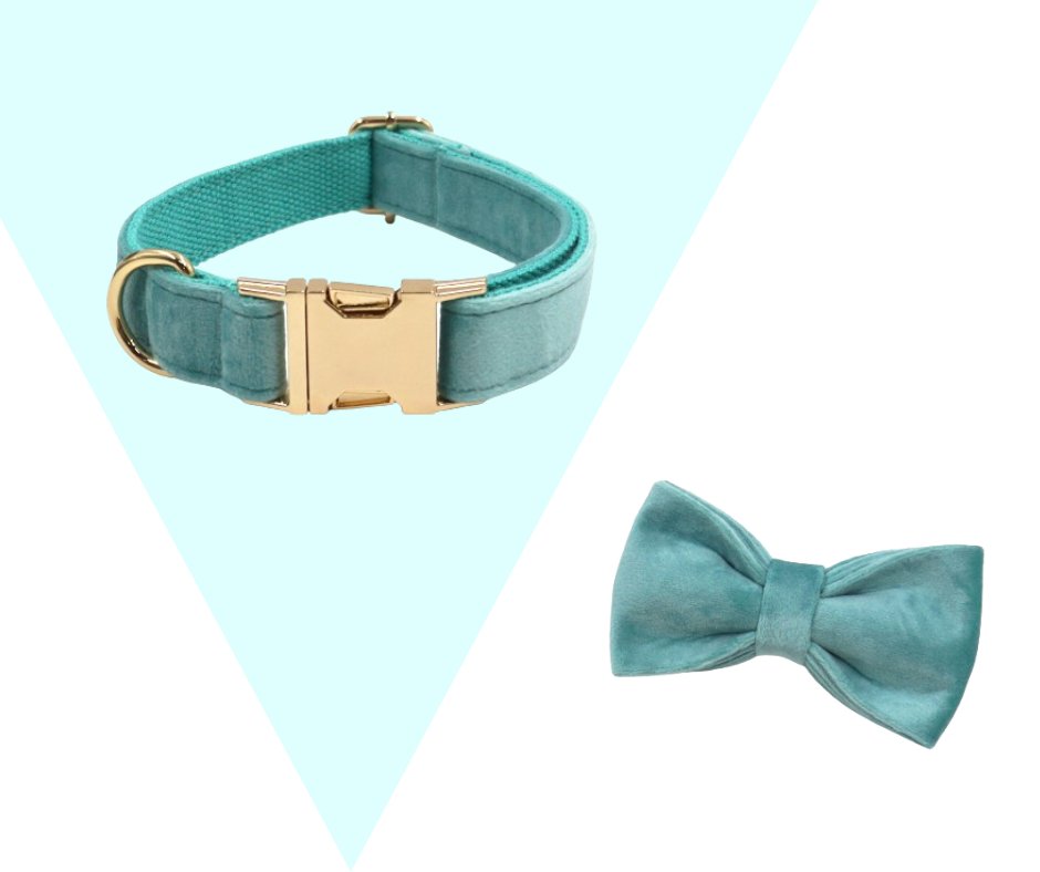 Lakeblue Velvet Corduroy Pet Collection - Neema's Pets