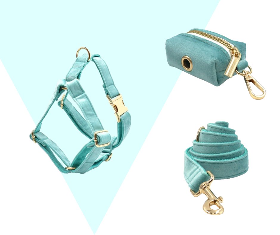 Lakeblue Velvet Corduroy Pet Collection - Neema's Pets