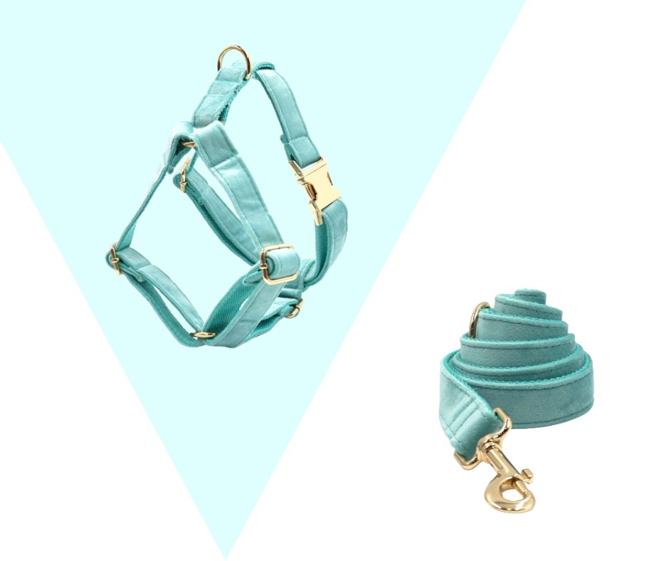 Lakeblue Velvet Corduroy Pet Collection - Neema's Pets