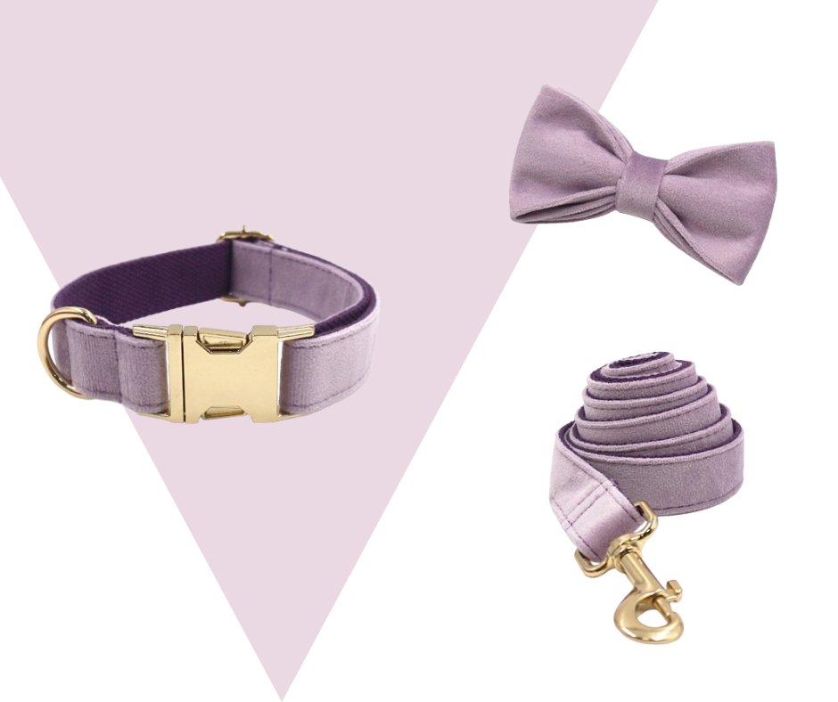 Lavender Velvet Corduroy Pet Collection - Neema's Pets