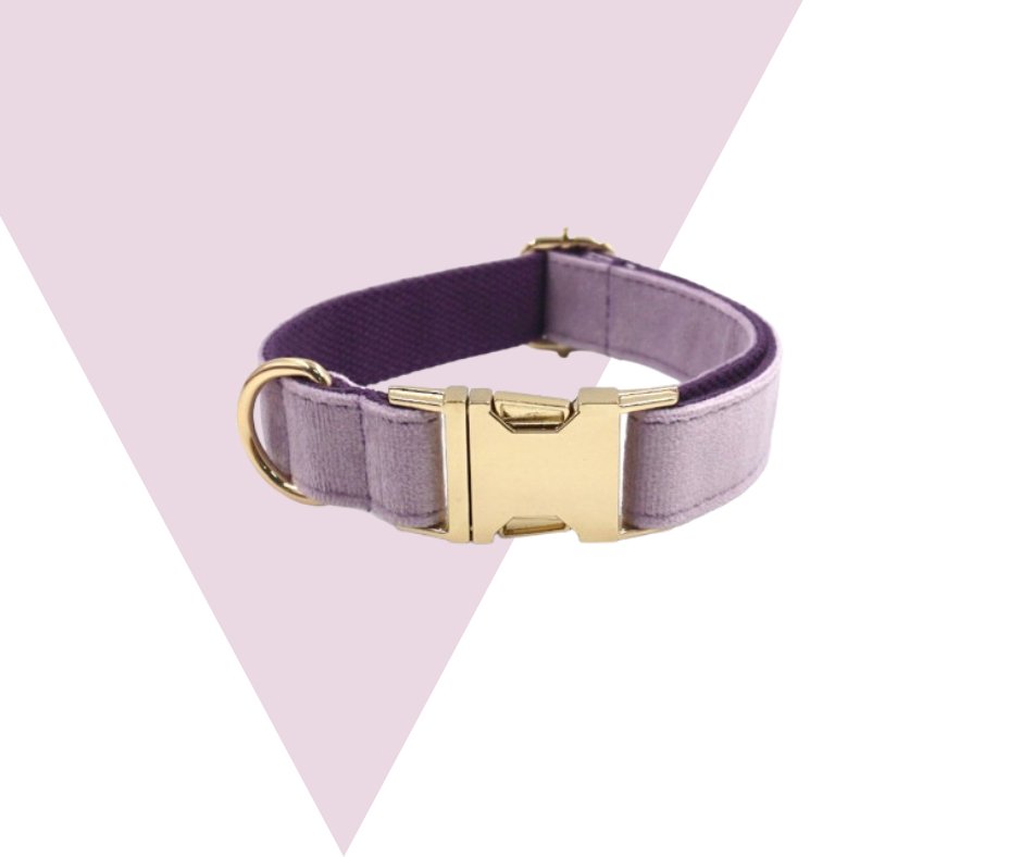 Lavender Velvet Corduroy Pet Collection - Neema's Pets