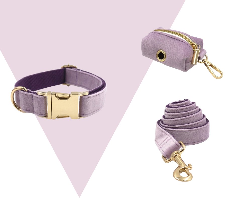 Lavender Velvet Corduroy Pet Collection - Neema's Pets