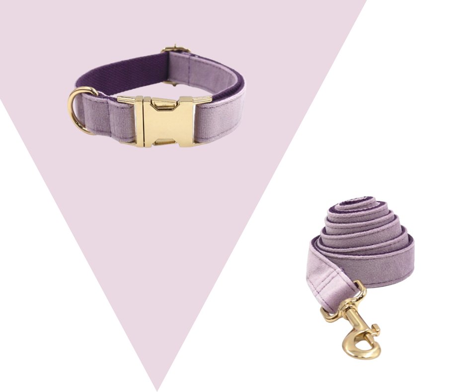 Lavender Velvet Corduroy Pet Collection - Neema's Pets