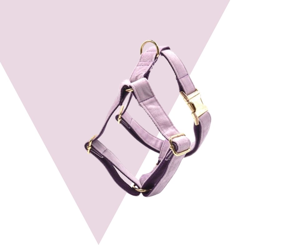 Lavender Velvet Corduroy Pet Collection - Neema's Pets