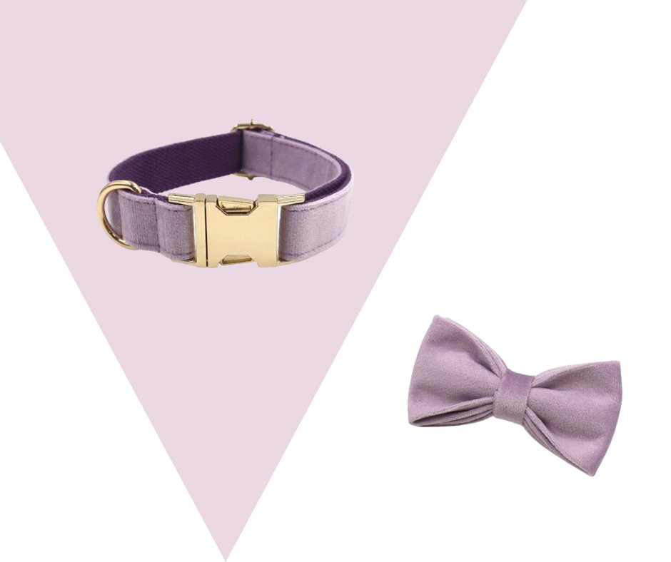 Lavender Velvet Corduroy Pet Collection - Neema's Pets
