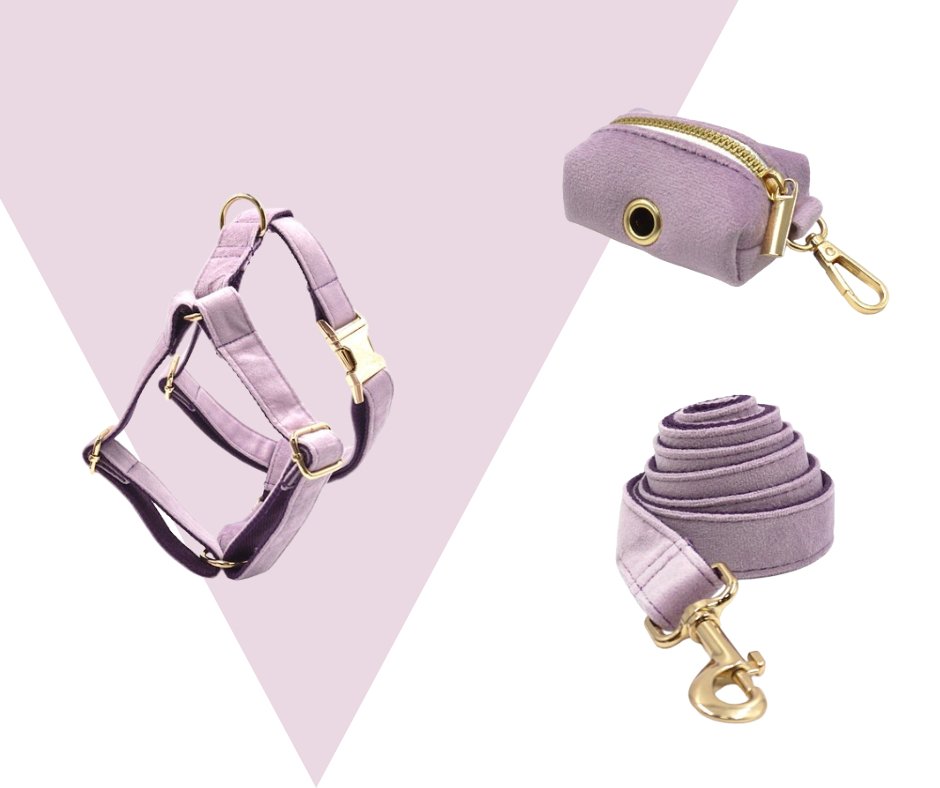 Lavender Velvet Corduroy Pet Collection - Neema's Pets