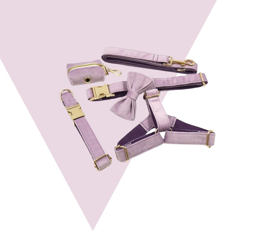 Lavender Velvet Corduroy Pet Collection - Neema's Pets
