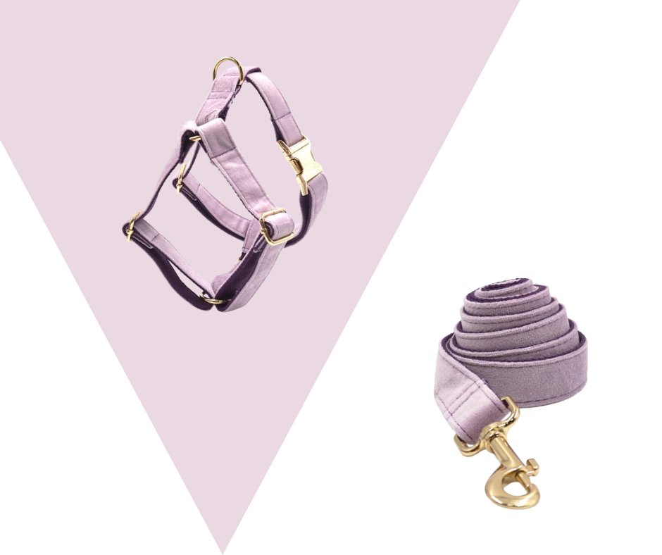 Lavender Velvet Corduroy Pet Collection - Neema's Pets
