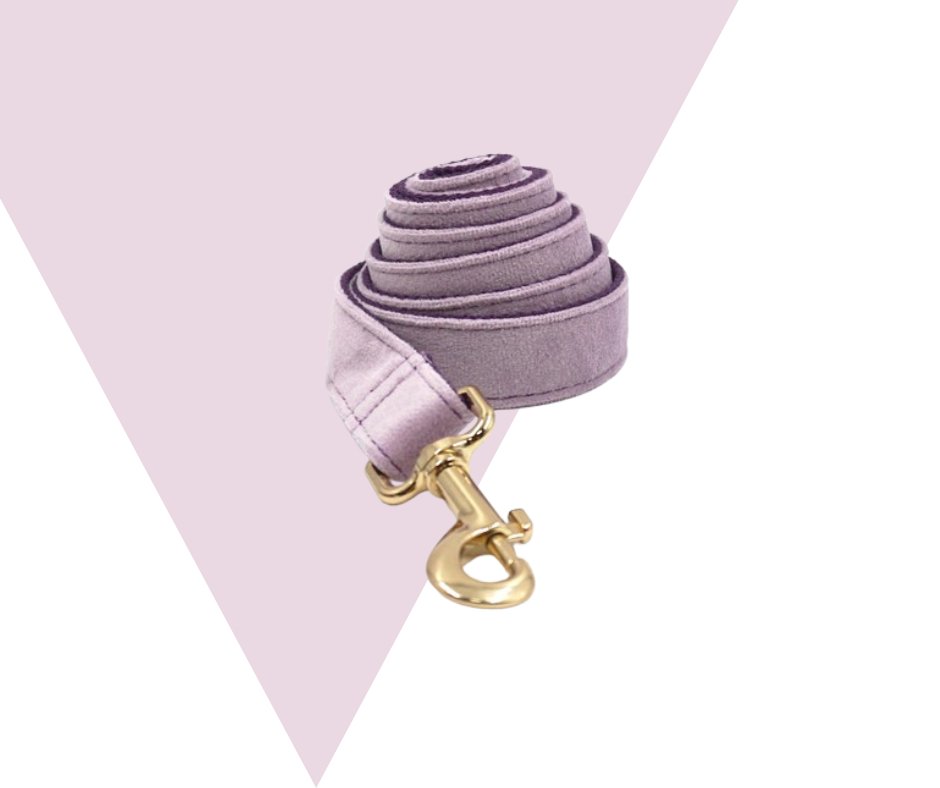 Lavender Velvet Corduroy Pet Collection - Neema's Pets