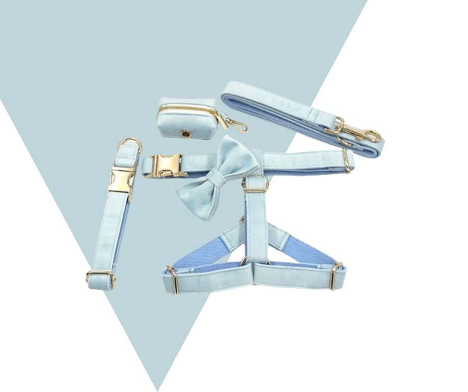 Lightblue Corduroy Velvet Pet Collection - Heyripet - Neema's Pets