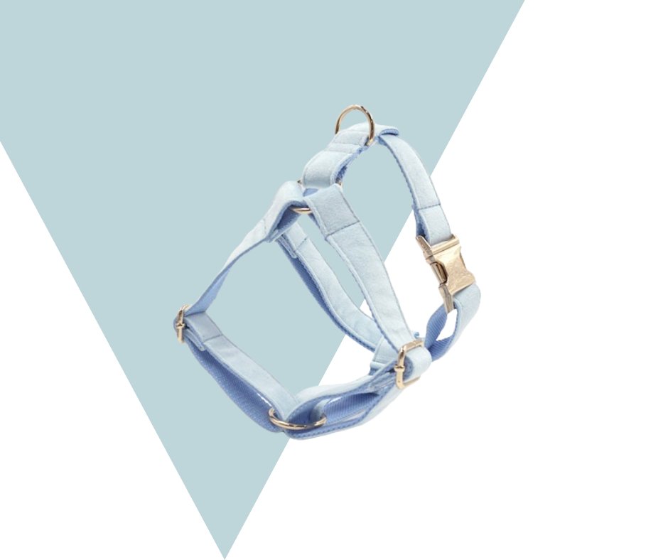 Lightblue Corduroy Velvet Pet Collection - Heyripet - Neema's Pets