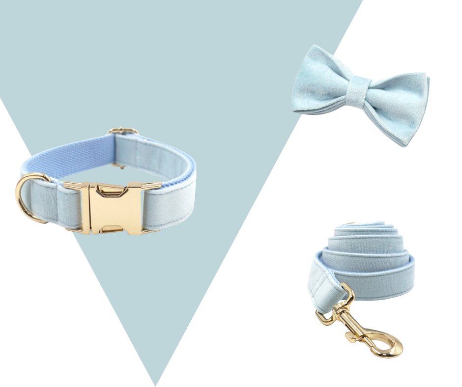 Lightblue Corduroy Velvet Pet Collection - Heyripet - Neema's Pets