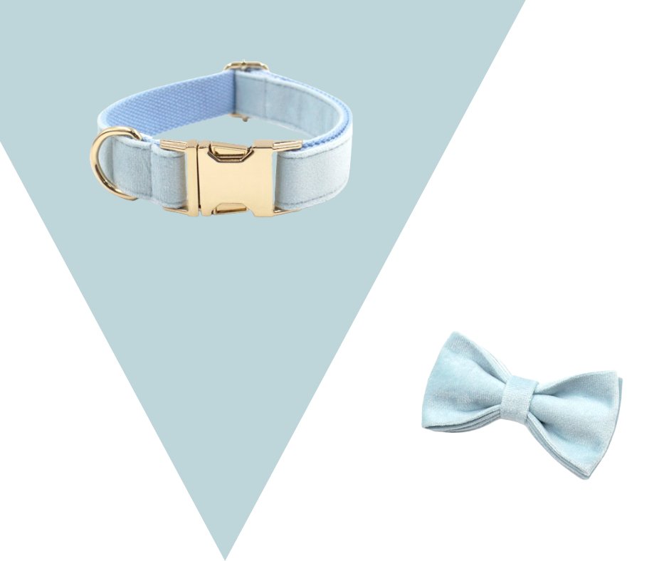 Lightblue Corduroy Velvet Pet Collection - Heyripet - Neema's Pets