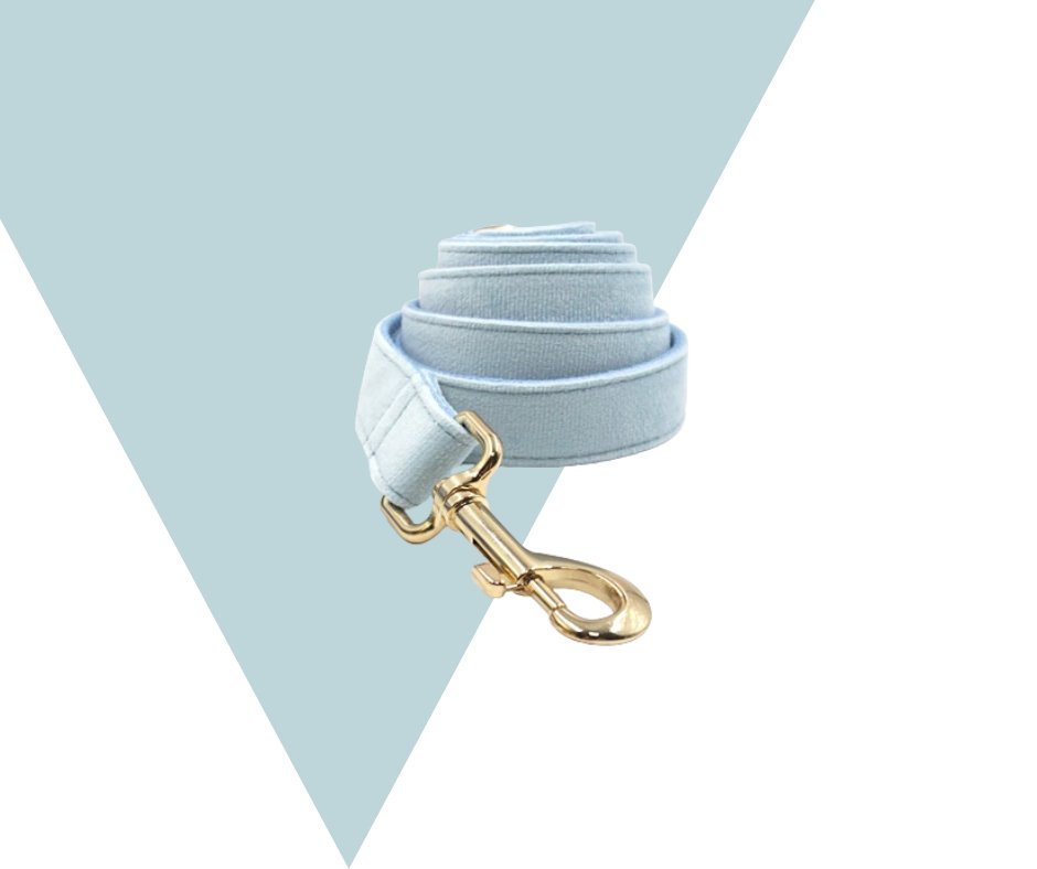 Lightblue Corduroy Velvet Pet Collection - Heyripet - Neema's Pets