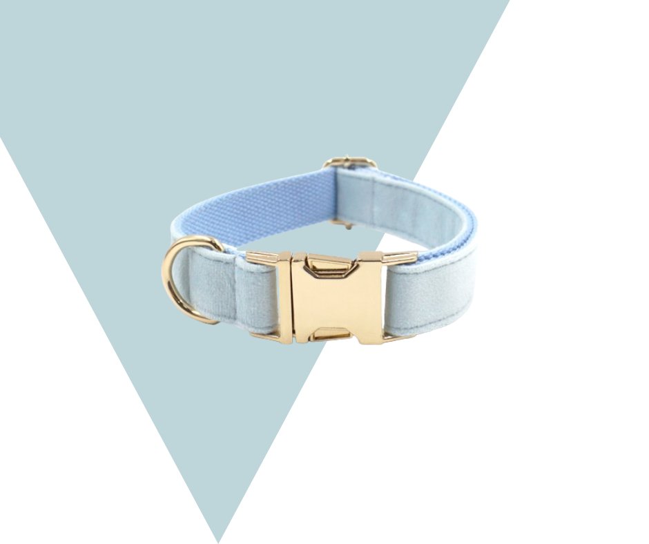 Lightblue Corduroy Velvet Pet Collection - Heyripet - Neema's Pets