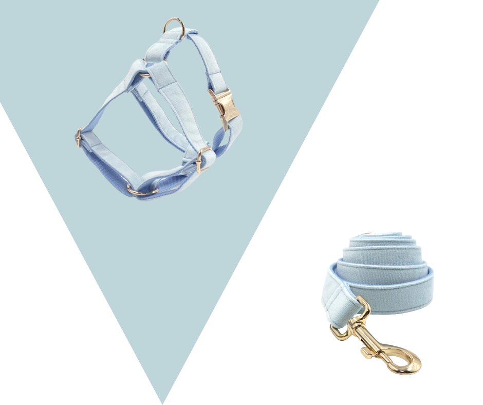 Lightblue Corduroy Velvet Pet Collection - Heyripet - Neema's Pets