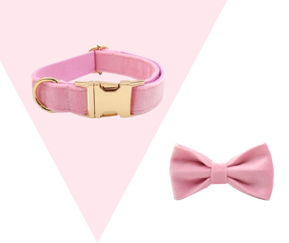 Eco-friendly Customizable GPS-Compatible Pink Pet Collection-Heyripet-Neema's Pets