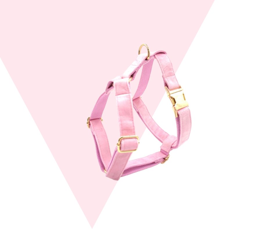 Eco-friendly Customizable GPS-Compatible Pink Pet Collection-Heyripet-Neema's Pets