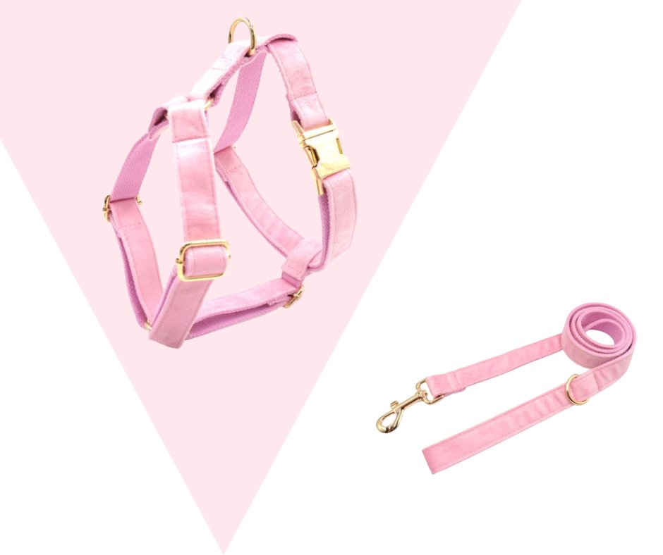 Eco-friendly Customizable GPS-Compatible Pink Pet Collection-Heyripet-Neema's Pets