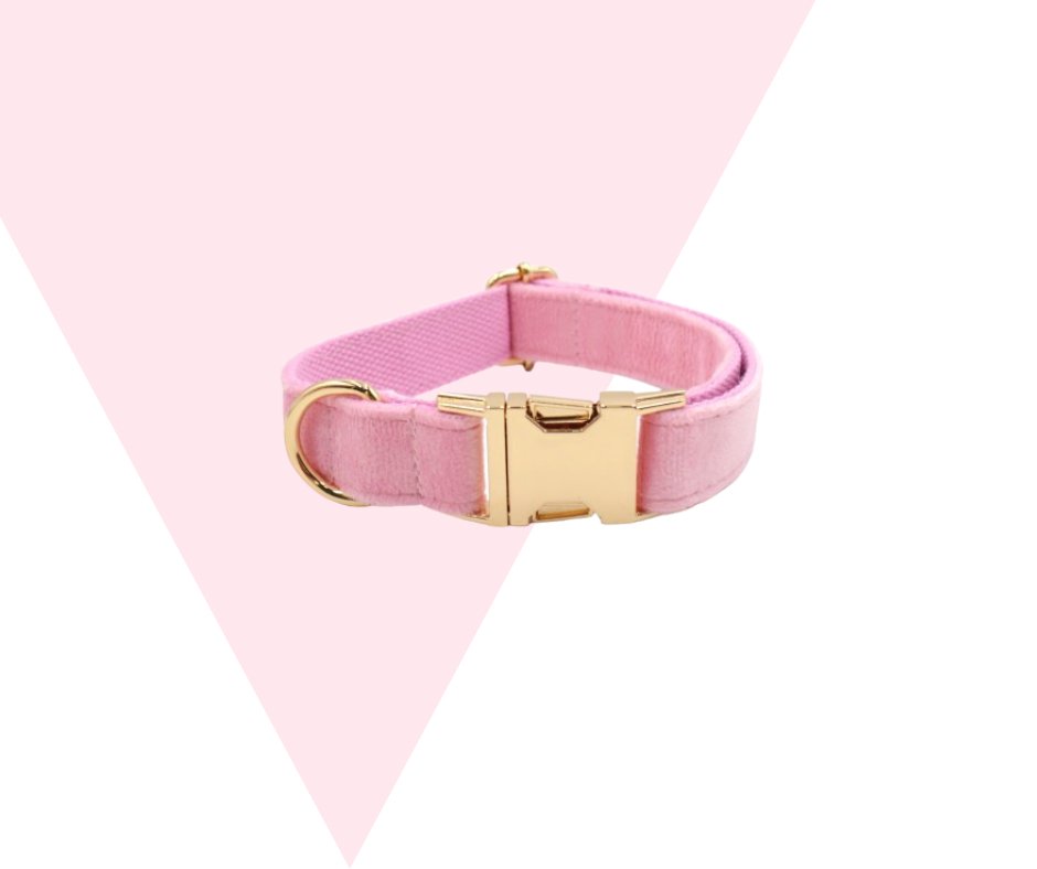 Eco-friendly Customizable GPS-Compatible Pink Pet Collection-Heyripet-Neema's Pets