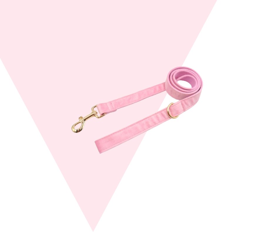 Eco-friendly Customizable GPS-Compatible Pink Pet Collection-Heyripet-Neema's Pets