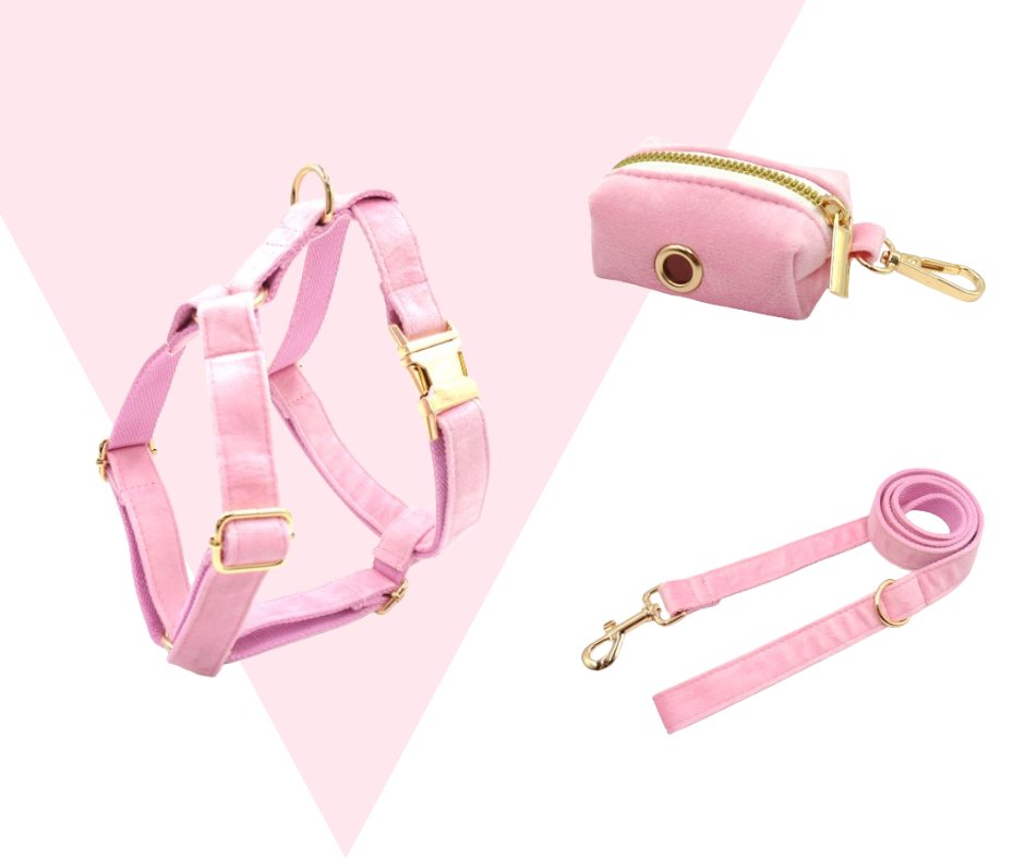 Eco-friendly Customizable GPS-Compatible Pink Pet Collection-Heyripet-Neema's Pets