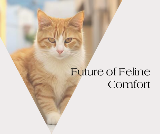 The Future of Feline Comfort: Innovation in Eco-Friendly Cat Beds