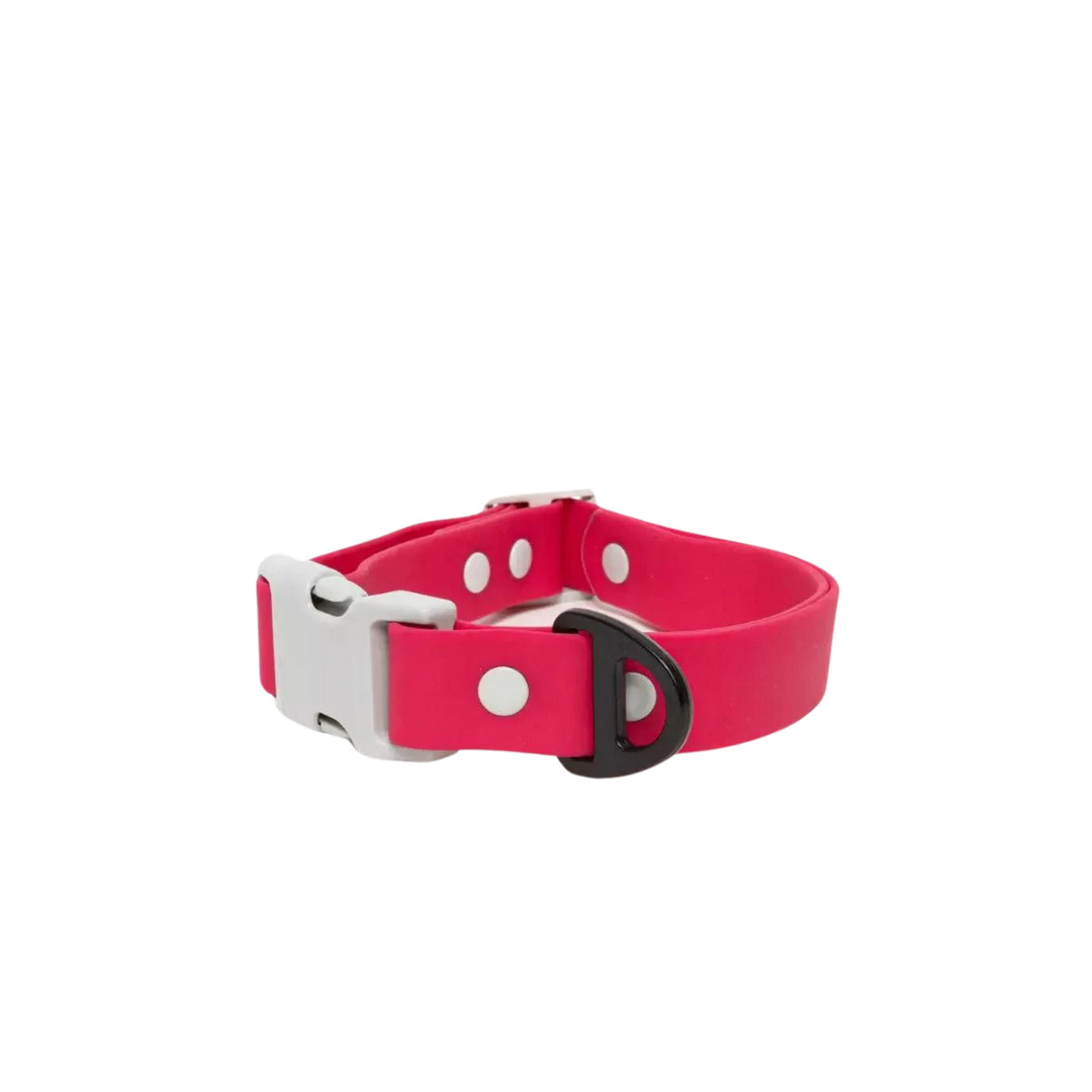 Red Mountain Syrah Waterproof Dog Collar