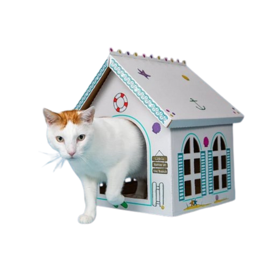 Breezy Beach Cottage Cardboard Cat Playhouse (Pack of 5)