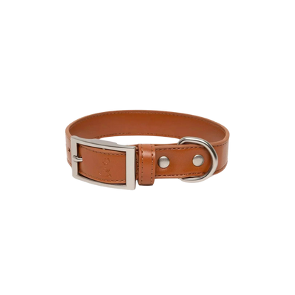 Sierra Sunrise Vegan Leather Dog Collar