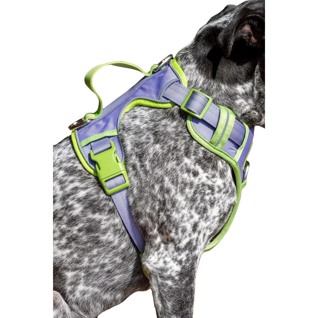 Lavender Garden Ultimate Dog Harness