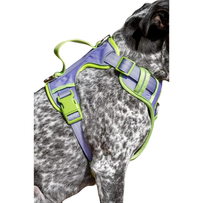 Lavender Garden Ultimate Dog Harness