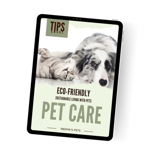 Eco-Friendly Pet Care