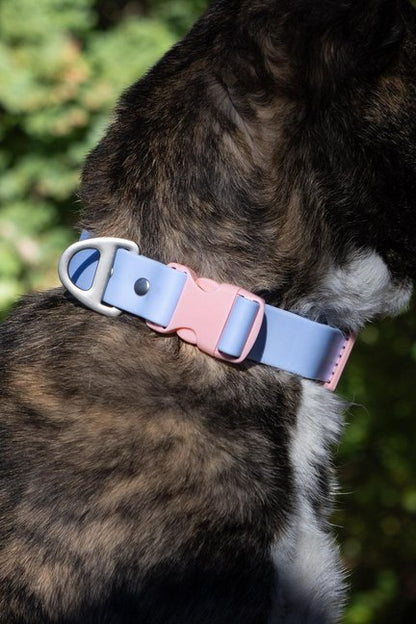 Blue Sky Orchid Waterproof Dog Collar-Aria the Fox-Neema's Pets