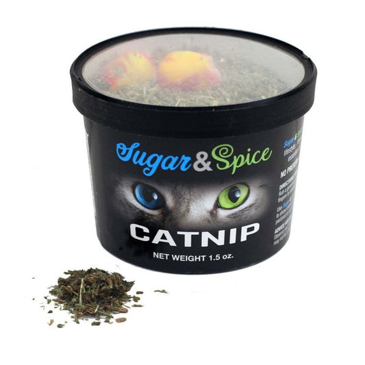 Catnip Container-ChewMax Pet Products-Neema's Pets