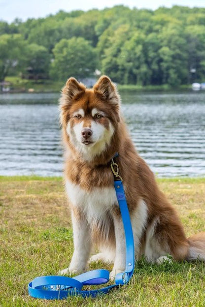 Dockside Adventures Waterproof Dog Leash-Aria the Fox-Neema's Pets