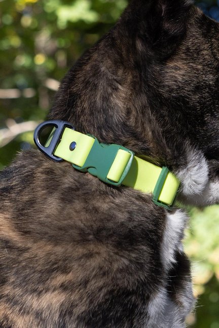 Mossy Pine Waterproof Dog Collar-Aria the Fox-Neema's Pets