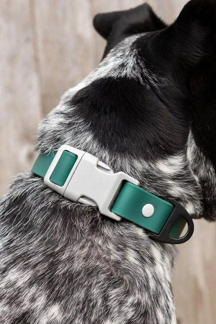 Siberian Spruce Waterproof Dog Collar-Aria the Fox-Neema's Pets